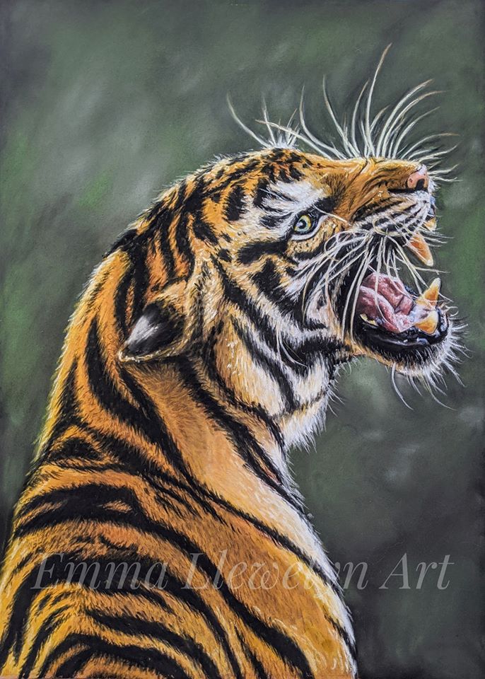 Tigre 3D Aux Pastels, Pintura por Maev'Art